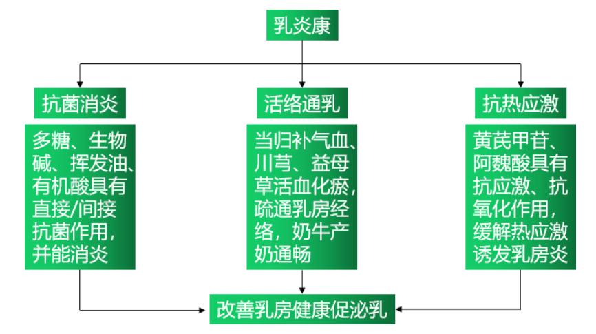 6114d98c9d216 6114d98c9d216