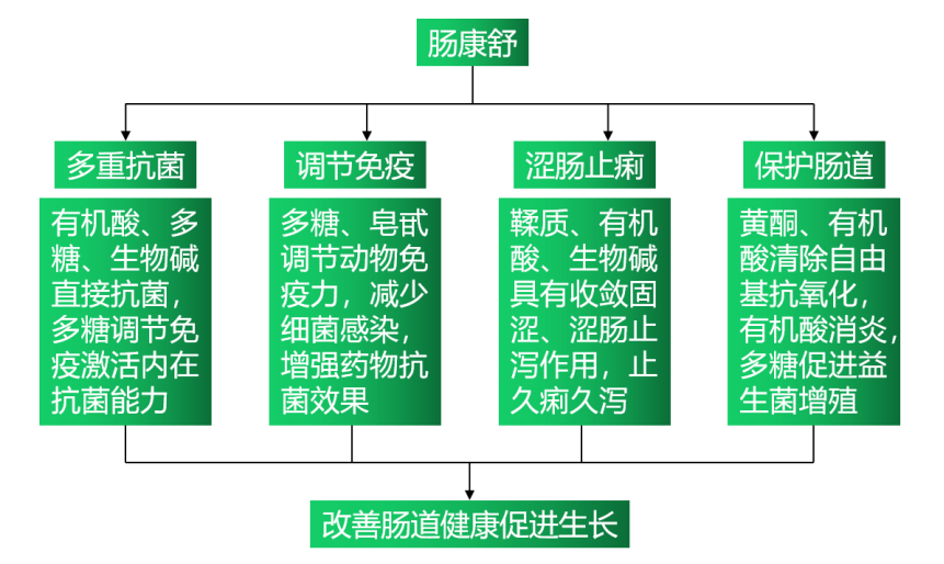 6115c693bac49 6115c693bac49