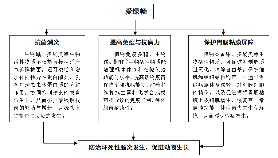 6115cf3a7284c