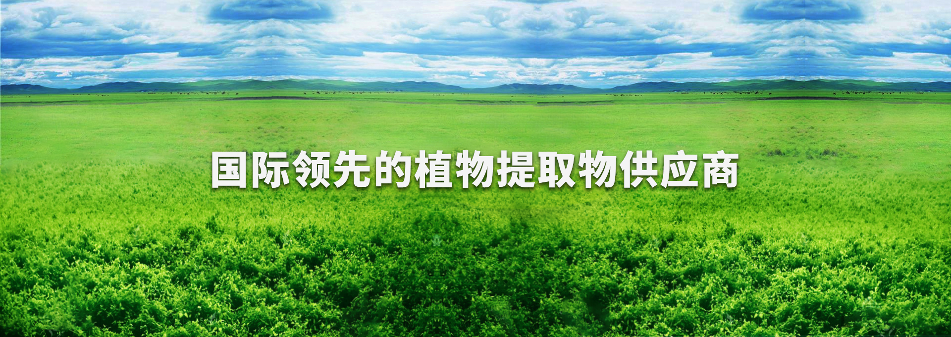 中国·9888拉斯维加斯(集团)有限公司-官方网站