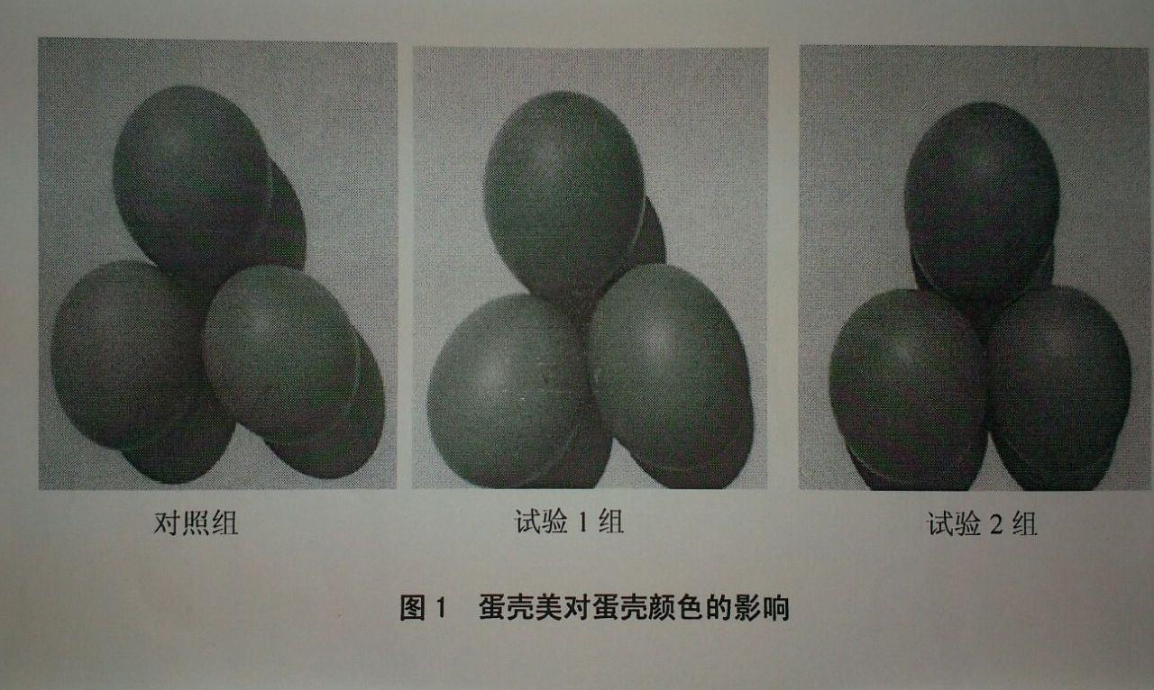 中国·9888拉斯维加斯(集团)有限公司-官方网站